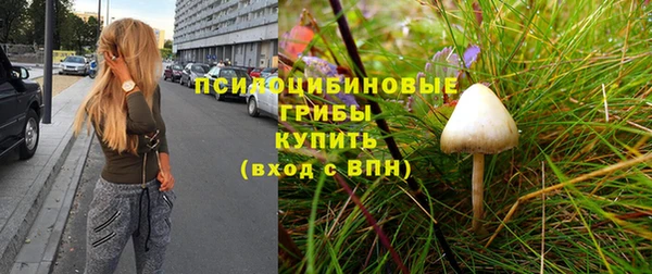 стаф Балабаново