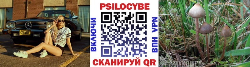 Псилоцибиновые грибы Magic Shrooms  Балашов 